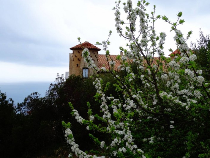 Location de vacances - Appartement à Pisciotta