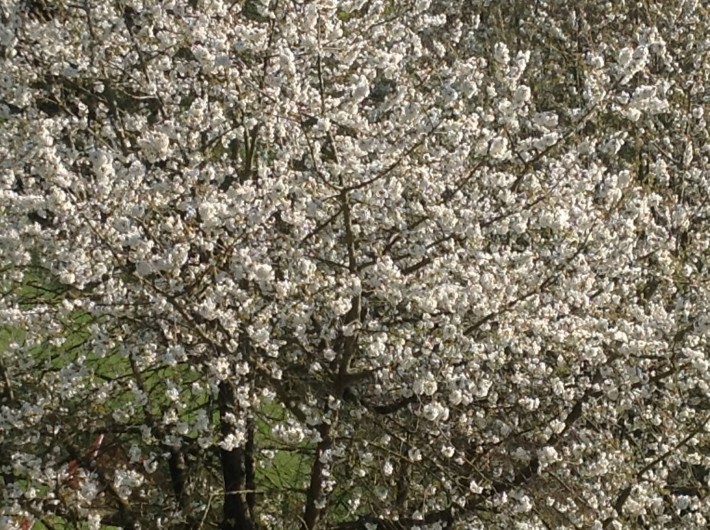 Location de vacances - Gîte à Le Landin