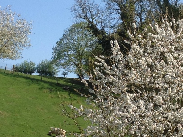 Location de vacances - Gîte à Le Landin