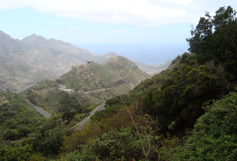 Location de vacances - Appartement à Los Cristianos - Masca, belle endroit