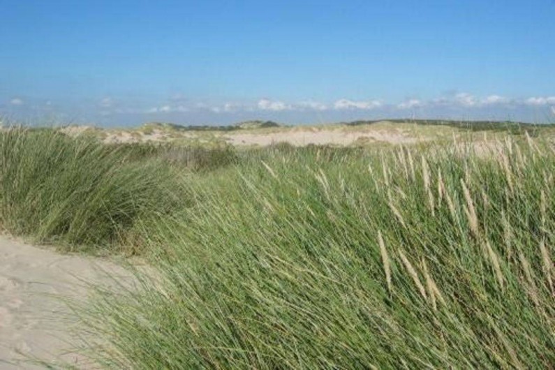 Location de vacances - Maison - Villa à Stella Plage - Dunes de Stella Plage