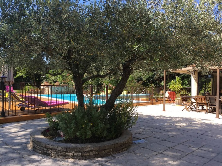 Location de vacances - Villa à Vézénobres - l'olivier central terrasse extérieure