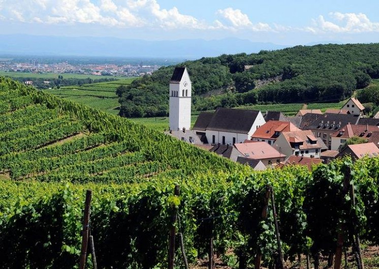 Location de vacances - Gîte à Katzenthal