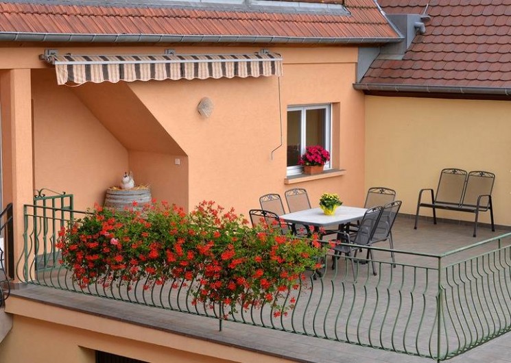 Location de vacances - Gîte à Katzenthal