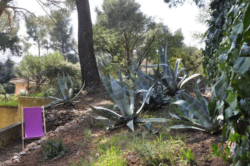Location de vacances - Villa à Tamaris - Coin détente fraicheur au Nord