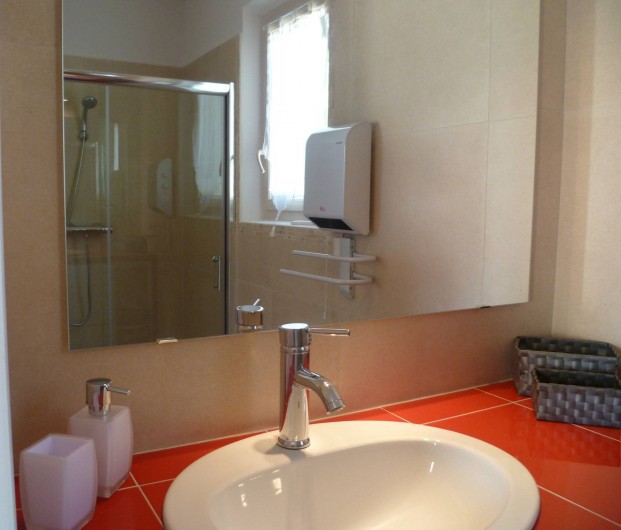 Location de vacances - Gîte à L'Isle-sur-la-Sorgue - plan de vasque et reflet de cabine de douche dans son miroir