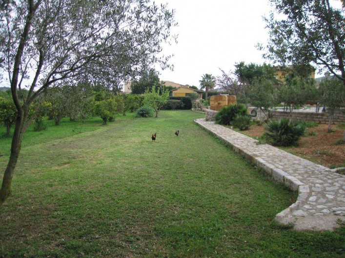 Location de vacances - Villa à Son Carrió