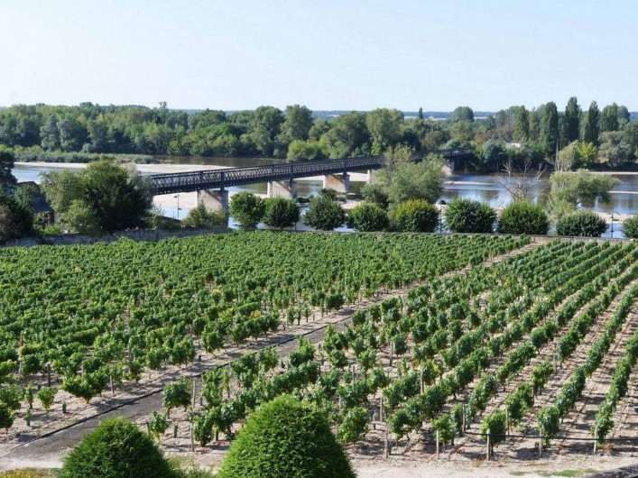 Location de vacances - Appartement à Pouilly-sur-Loire - Vue depuis le gîte sur les vignes et la Loire