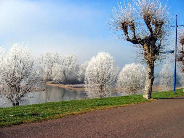 Location de vacances - Appartement à Pouilly-sur-Loire - La loire en hiver