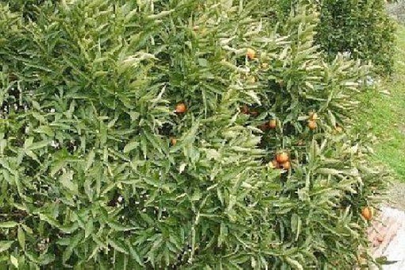 Location de vacances - Studio à Menton