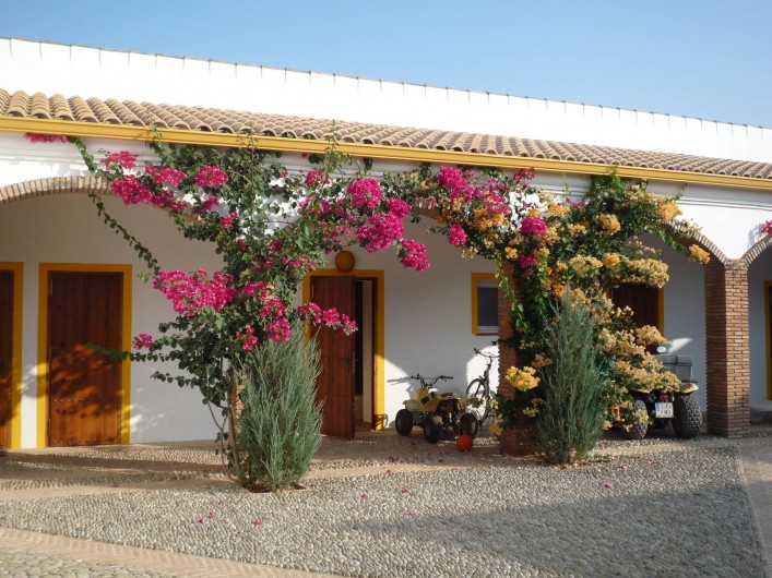 Location de vacances - Villa à Villamartin - LES  6 CHAMBRES DONNENT SUR LE PATIO CENTRAL FLEURI DE BOUGAINVILLIERS