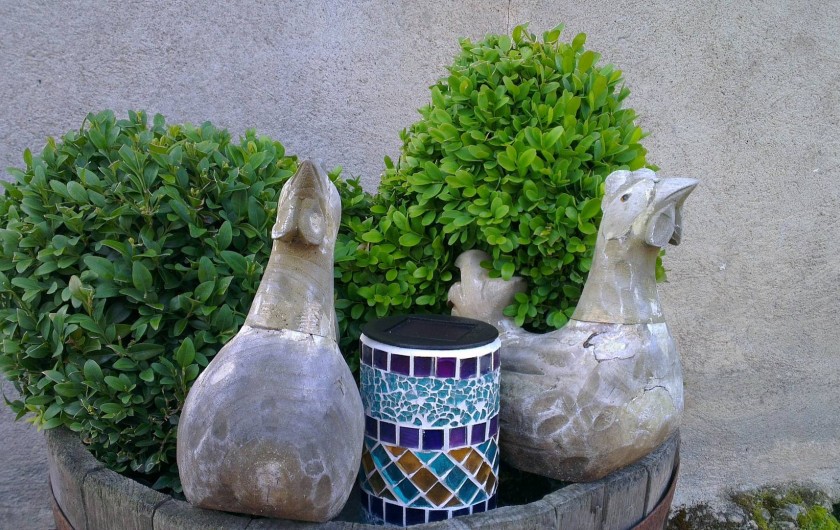 Location de vacances - Chambre d'hôtes à Saint-Aubin-de-Luigné