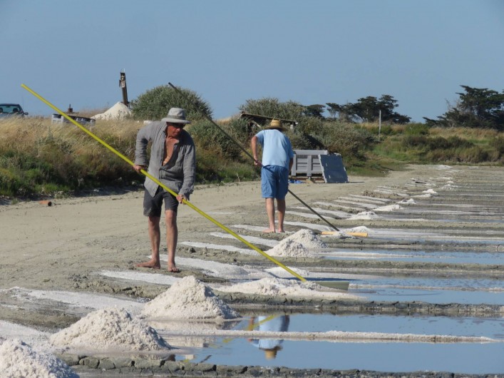 Location de vacances - Villa à Ars-en-Ré - Récolte du sel  ARS EN RE