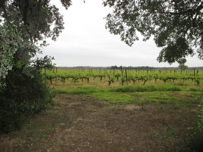 Location de vacances - Appartement à Nîmes