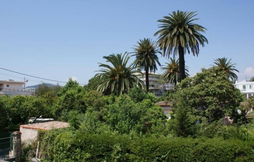 Location de vacances - Maison - Villa à Juan les Pins