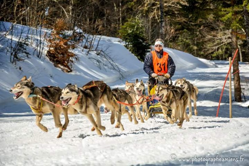 Location de vacances - Appartement à Murol
