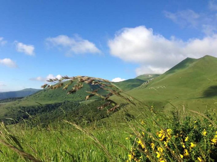 Location de vacances - Appartement à Murol