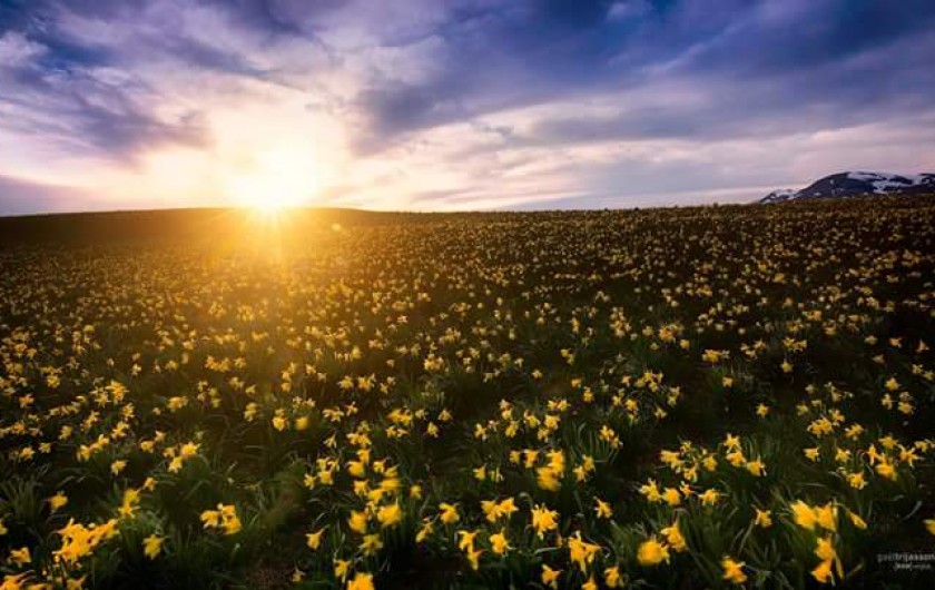 Location de vacances - Appartement à Murol