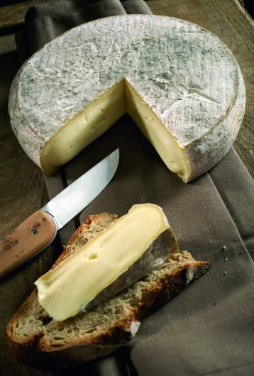 Location de vacances - Appartement à Murol