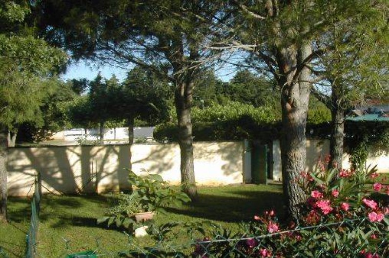 Location de vacances - Mas à Saint-Martin-de-Crau