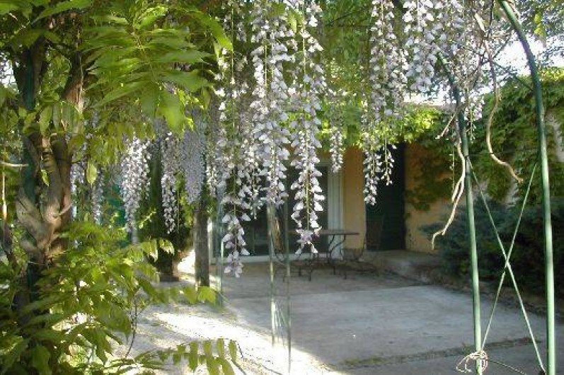 Location de vacances - Mas à Saint-Martin-de-Crau