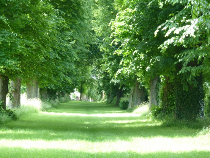 Location de vacances - Gîte à Mailly-Maillet
