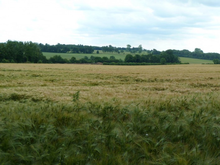 Location de vacances - Gîte à Mailly-Maillet