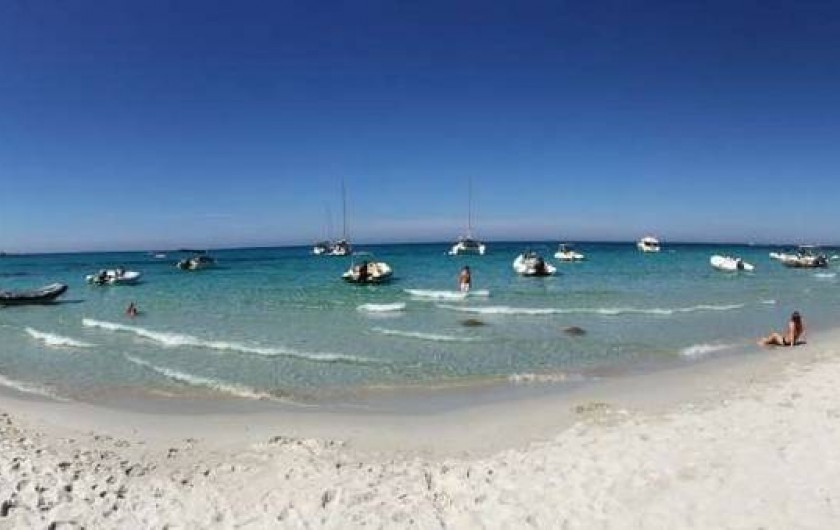 Location de vacances - Appartement à Olmeta-di-Tuda