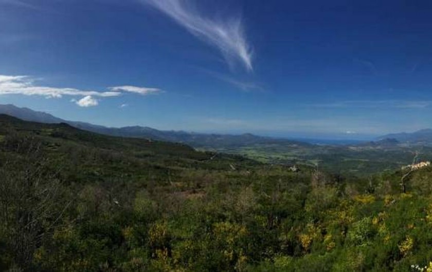 Location de vacances - Appartement à Olmeta-di-Tuda