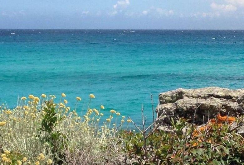 Location de vacances - Appartement à Olmeta-di-Tuda