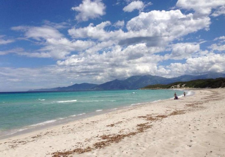 Location de vacances - Appartement à Olmeta-di-Tuda