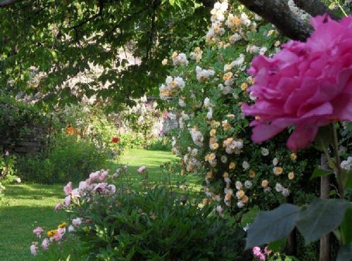 Location de vacances - Chambre d'hôtes à Beaune