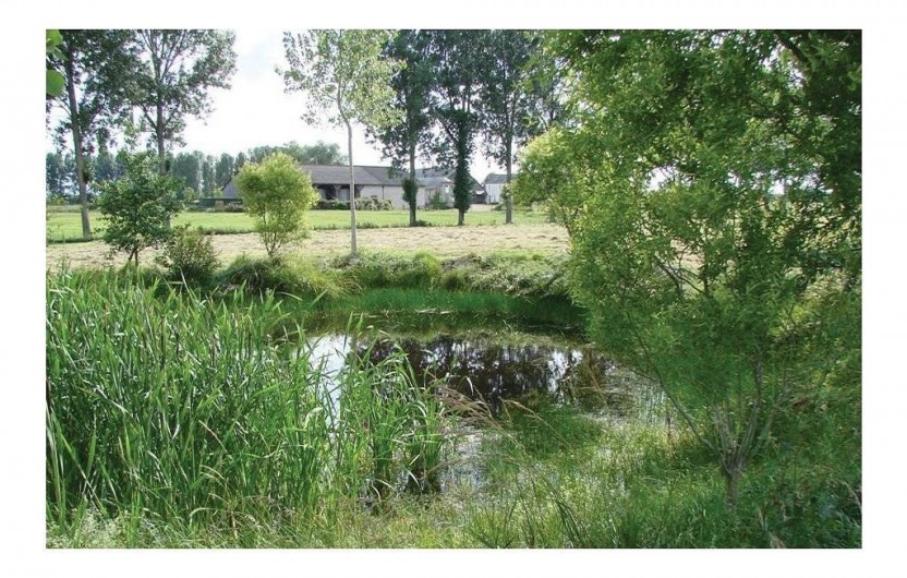 Location de vacances - Villa à Savigné-sous-le-Lude