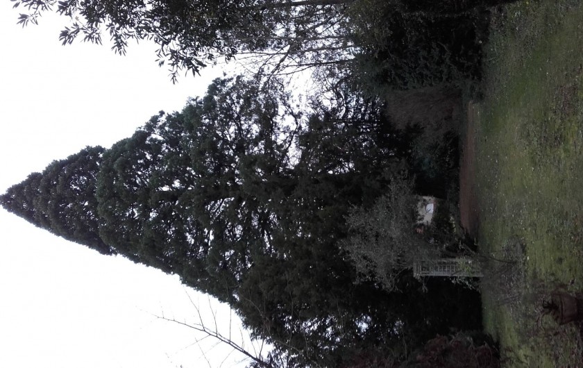 Location de vacances - Chambre d'hôtes à Éclaron-Braucourt-Sainte-Livière