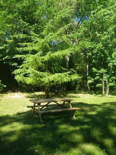 Location de vacances - Chambre d'hôtes à Éclaron-Braucourt-Sainte-Livière