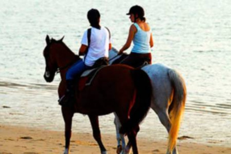 Location de vacances - Camping à Sainte-Eulalie-en-Born - promenades équestres