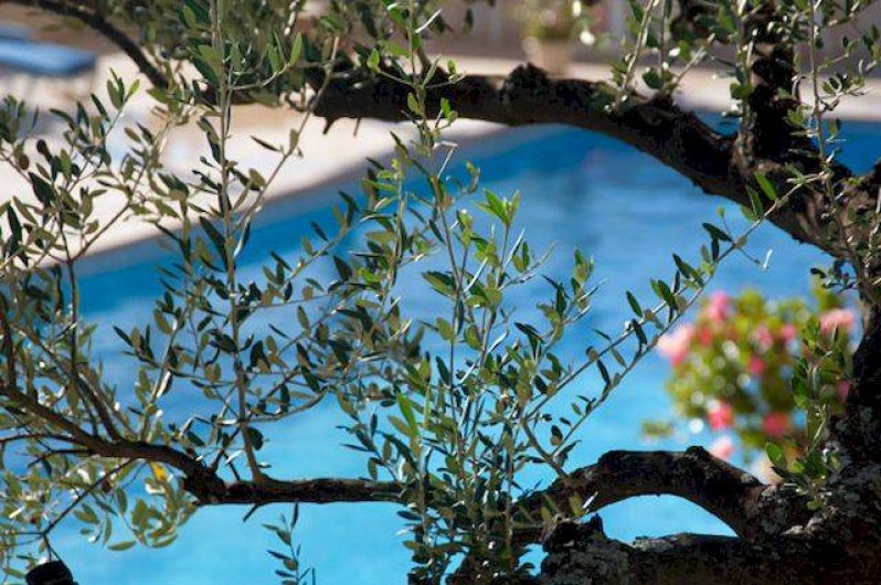 Location de vacances - Hôtel - Auberge à Tourtour