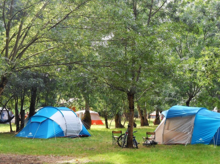 Location de vacances - Yourte à La Grève-sur-Mignon - espace camping ombragé