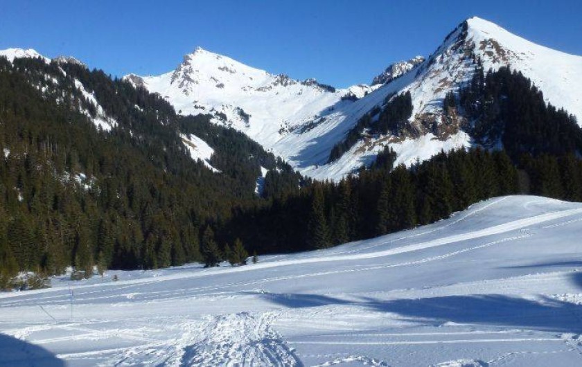 Location de vacances - Chalet à Le Praz de Lys - Vue du salon, départ ski au pied!