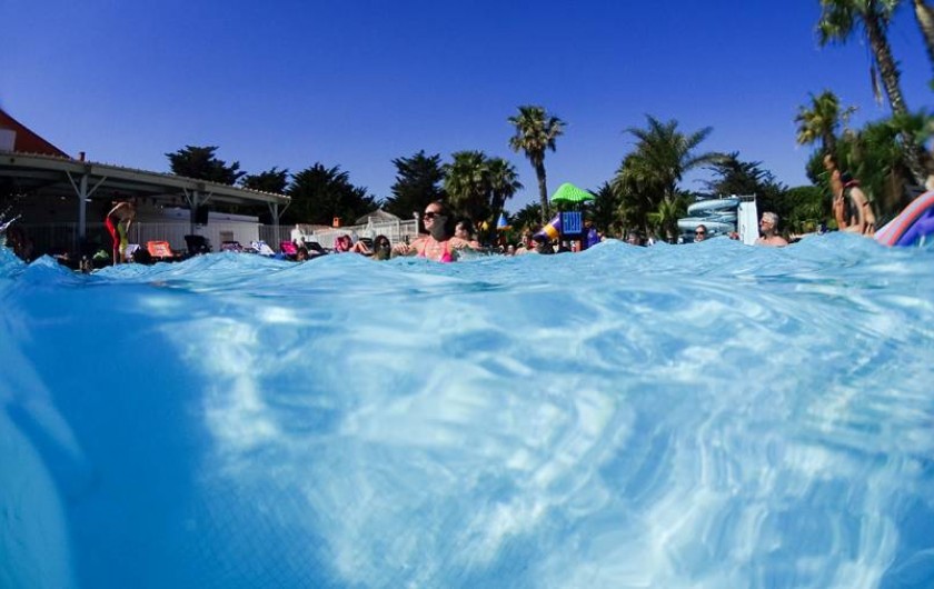 Location de vacances - Camping à Le Barcarès