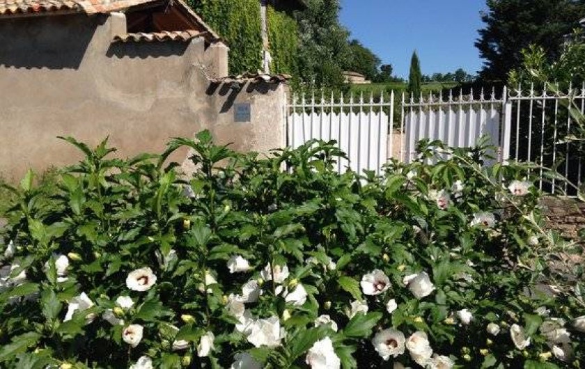 Location de vacances - Gîte à Saint-Jean-d'Ardières