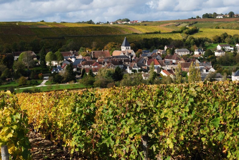 Location de vacances - Gîte à Sury-en-Vaux - Village de Sury-en-Vaux