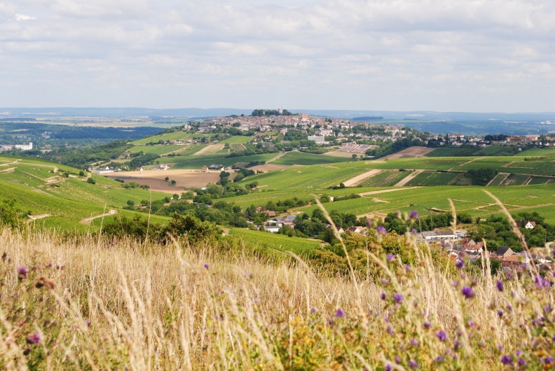 Location de vacances - Gîte à Sury-en-Vaux - Vue du Sancerrois