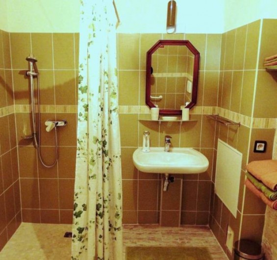 Location de vacances - Chambre d'hôtes à Andilly - La salle de bains de la chambre La Venise verte
