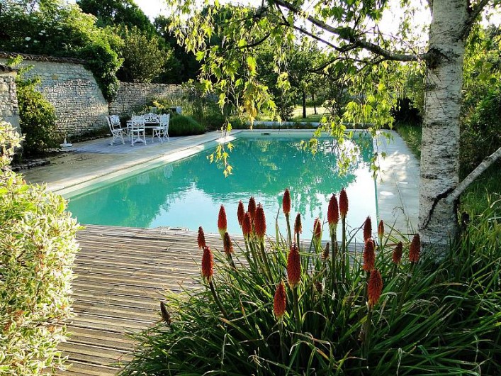 Location de vacances - Chambre d'hôtes à Andilly - la piscine au sein du jardin paysager : un havre de paix,