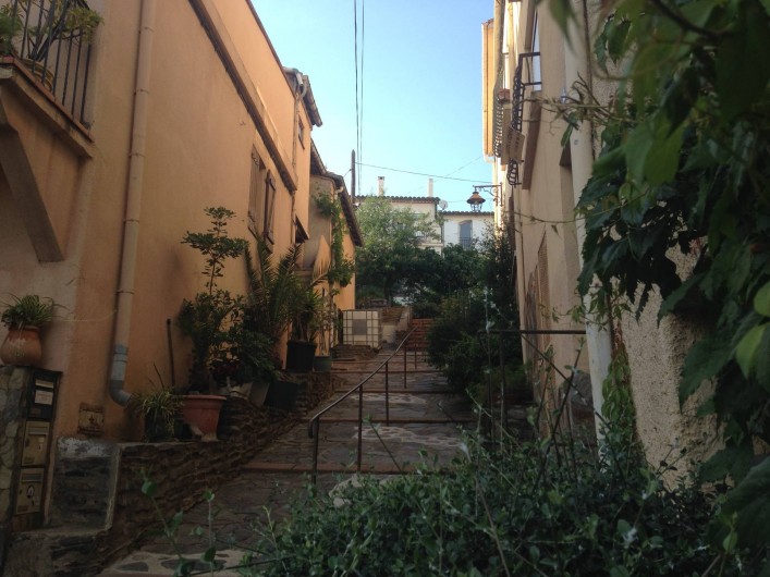 Location de vacances - Appartement à Banyuls-sur-Mer