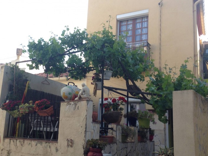 Location de vacances - Appartement à Banyuls-sur-Mer