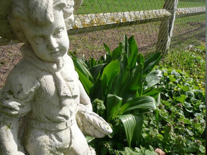 Location de vacances - Gîte à Grand-Camp