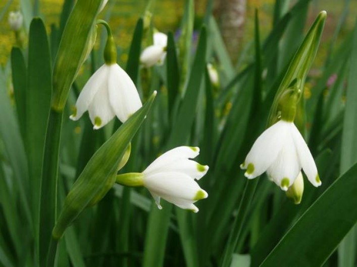 Location de vacances - Gîte à Grand-Camp