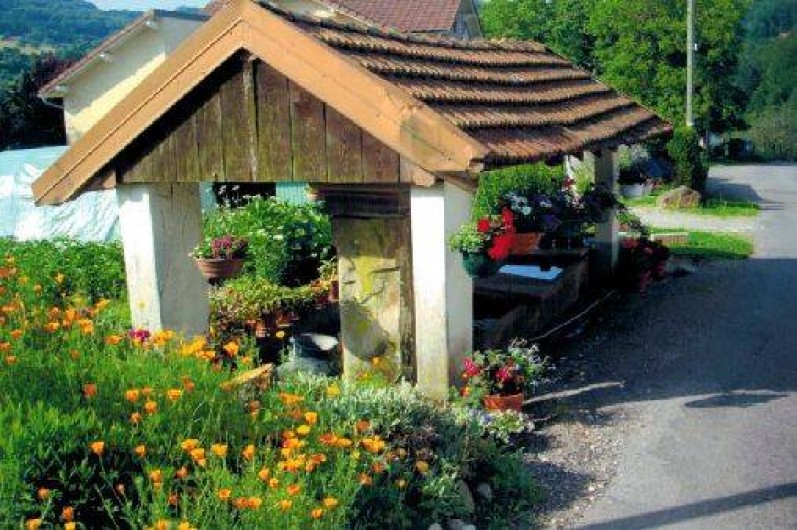 Location de vacances - Gîte à Le Val-d'Ajol